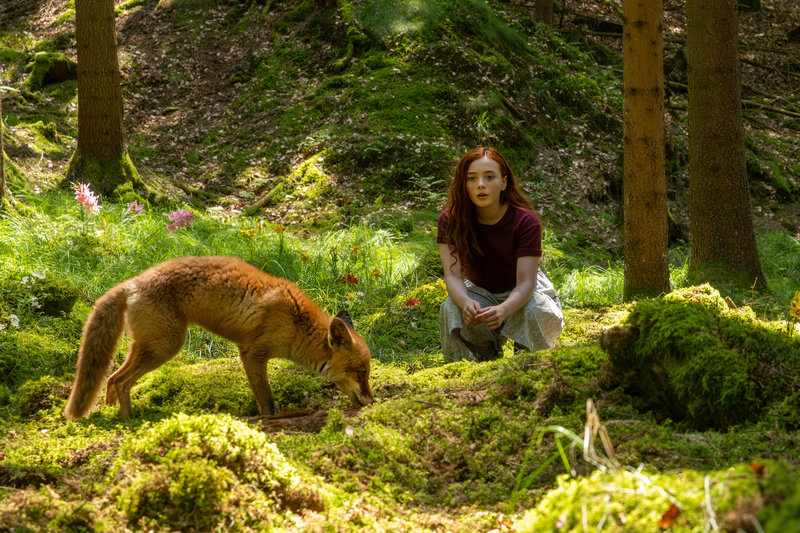 Ein Mädchen namens Willow 1.jpg Ein Mädchen namens Willow 1.jpg